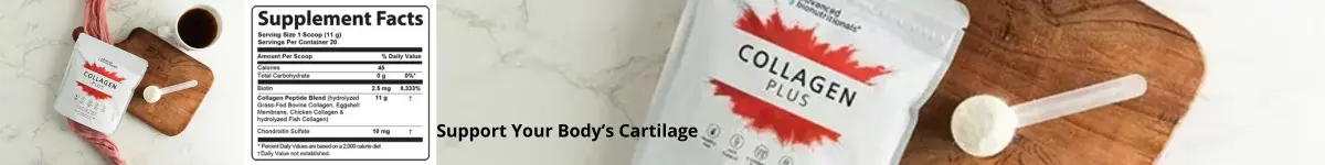 Support Your Body’s Cartilage